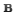 Negrita